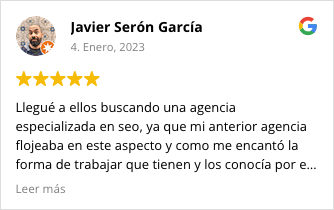 SEO Review Javier Seron